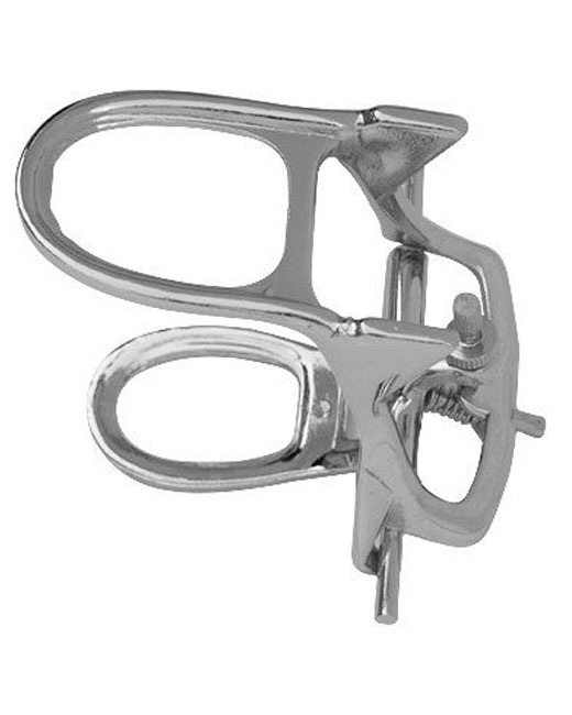 <span>Articulators </span>