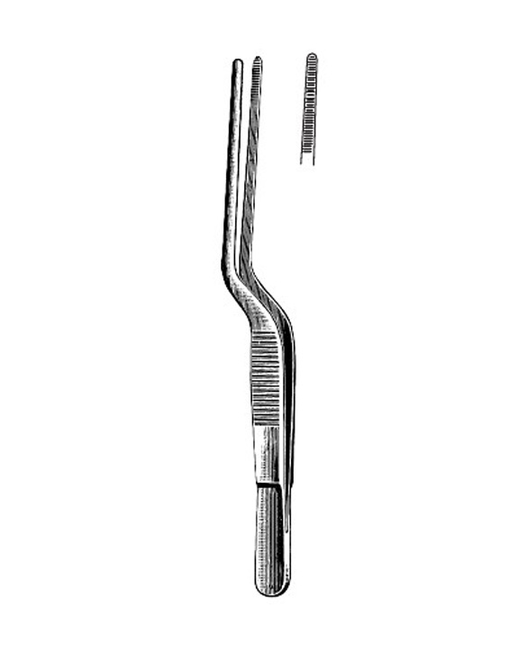 <span>Lucae</span>