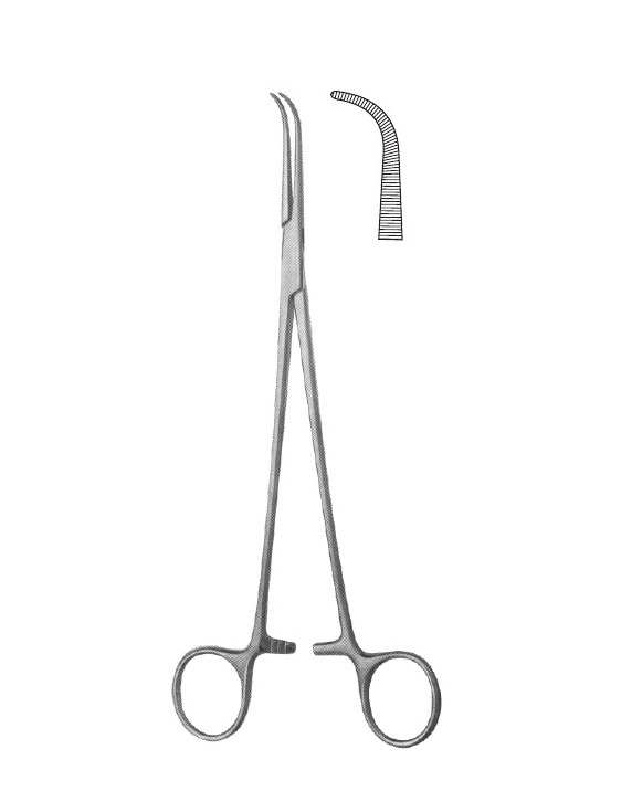 <span>Gemini (DeBakey-Mixter)</span>