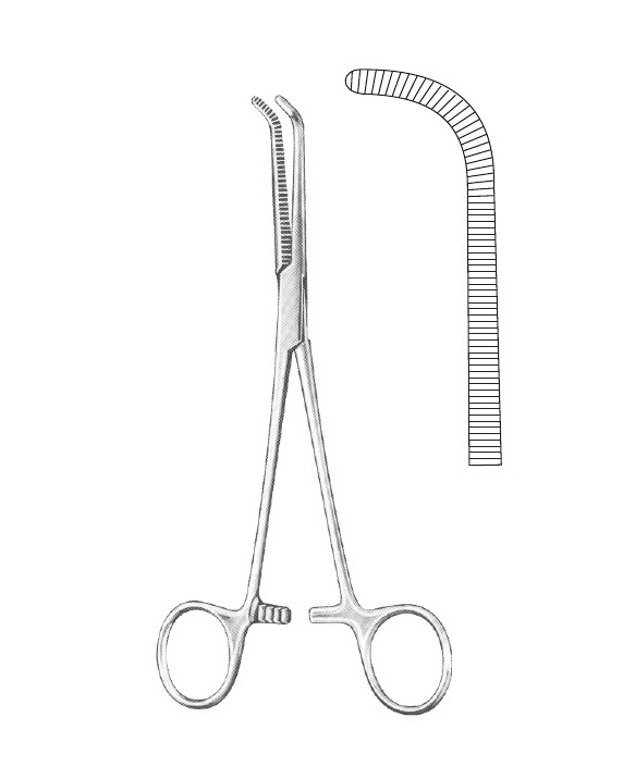 <span>Mixter</span>