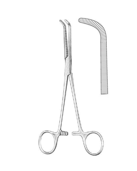 <span>Mixter</span>
