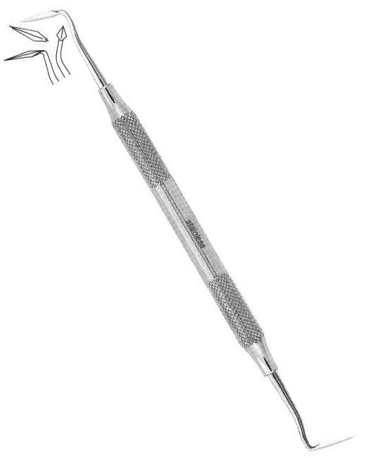 <span>Buck </span>