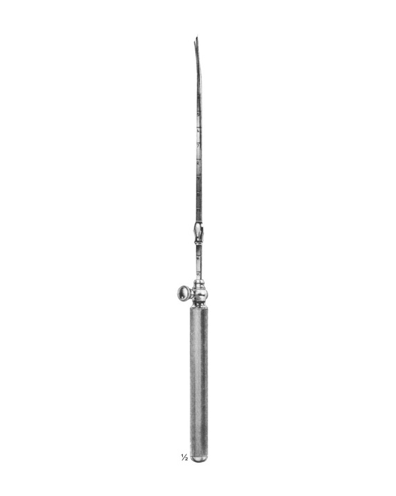 <span>Collin</span>