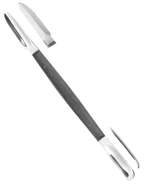 <span>Lessmann</span>