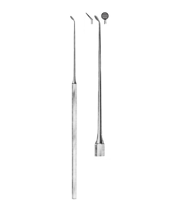 <span>Circular Knive</span>