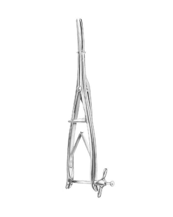 <span>Sims</span>