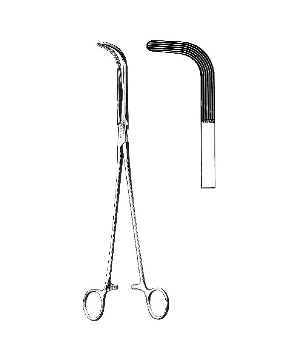<span>Mixter</span>