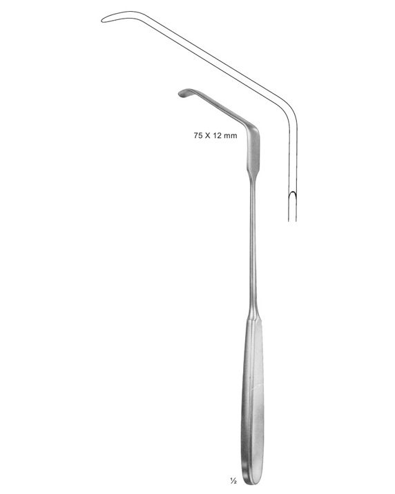 <span>Zenker</span>