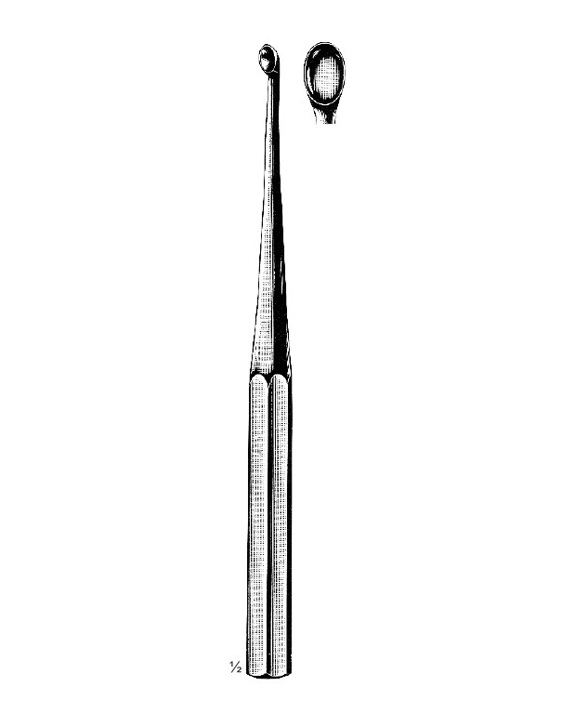 <span>Bruns</span>