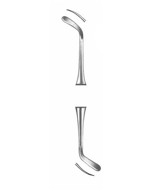 <span>Williams</span>