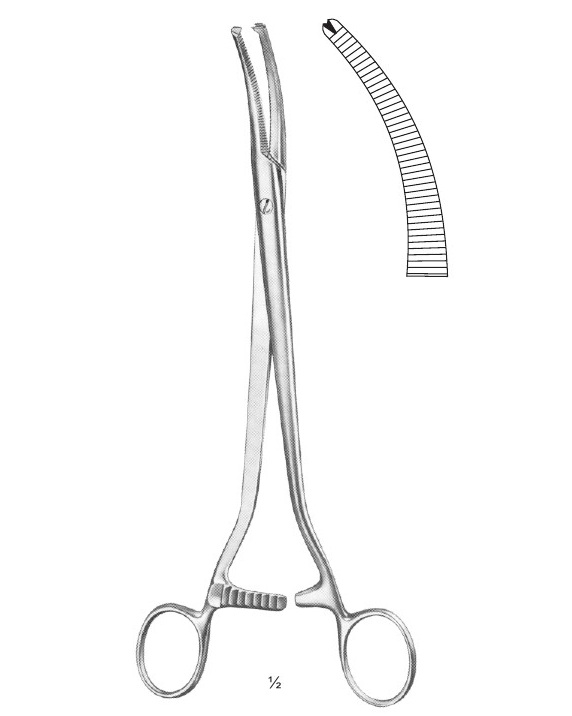 <span>Wertheim-Martin</span>