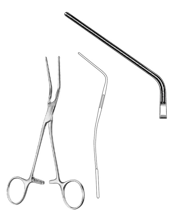 <span>Blood Vessel Forceps </span>
