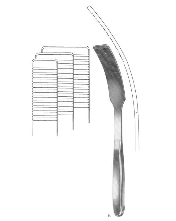 <span>Kader</span>