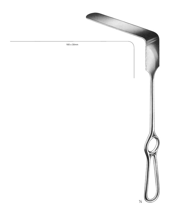 <span>Brunner</span>