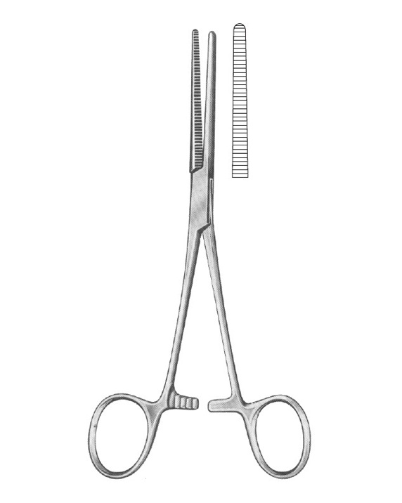 <span>Rochester-Péan</span>