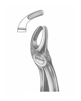 <span>Upper Wisdoms</span>