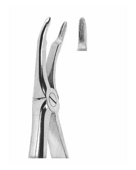 <span>Upper Roots </span>