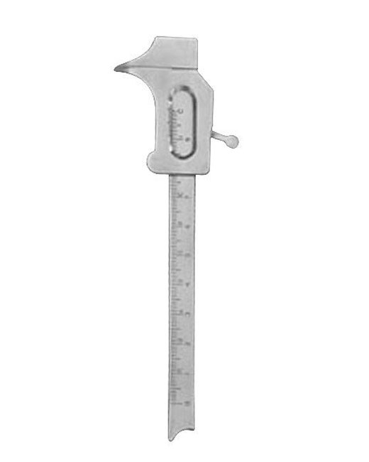 <span>Vernier </span>
