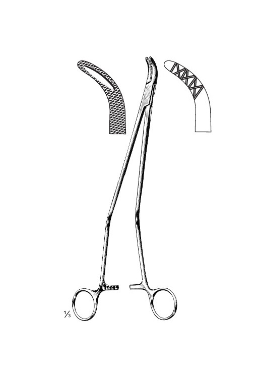 <span>Johnson</span>