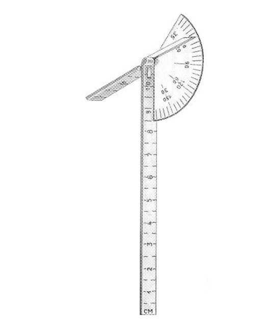 <span>Caroll</span>