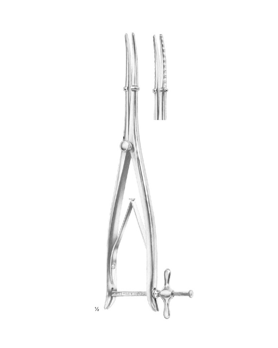 <span>Wylie</span>