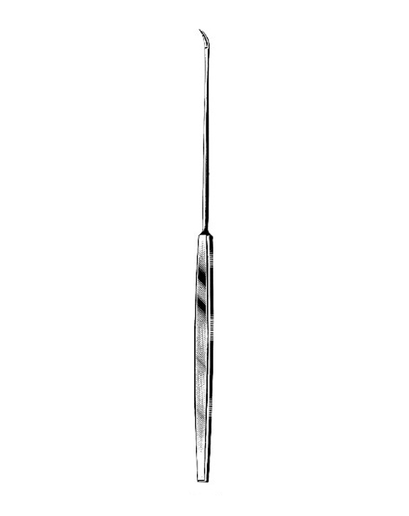 <span>Buck</span>