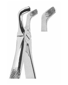 <span>Lower Third Molars</span>