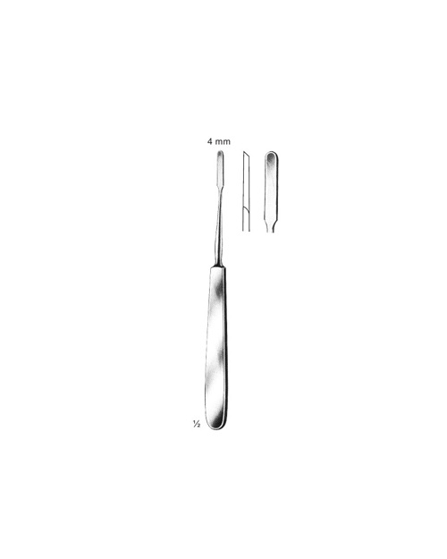 <span>Fomon</span>
