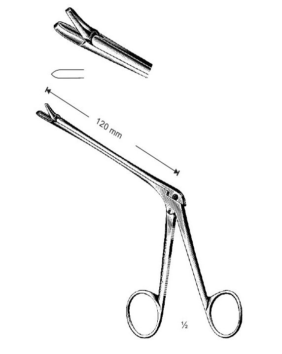 <span>Hajek</span>