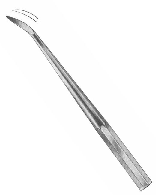 <span>Barry </span>
