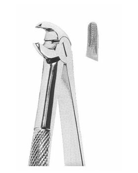 <span>Lower Incisors And roots</span>
