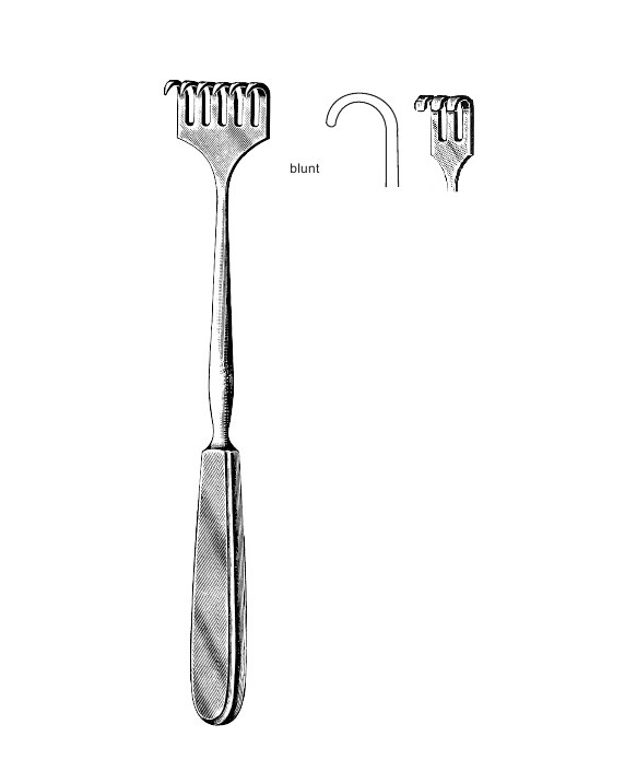 <span>Volkmann</span>