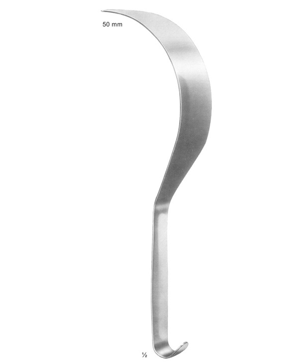 <span>Deaver</span>