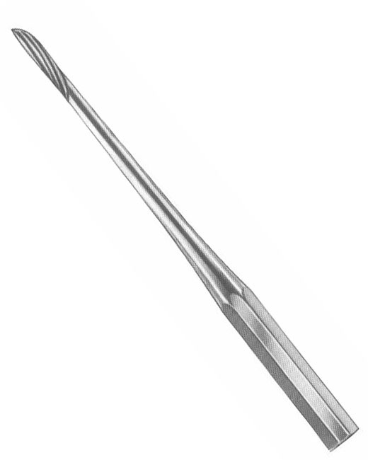 <span>Kopp </span>