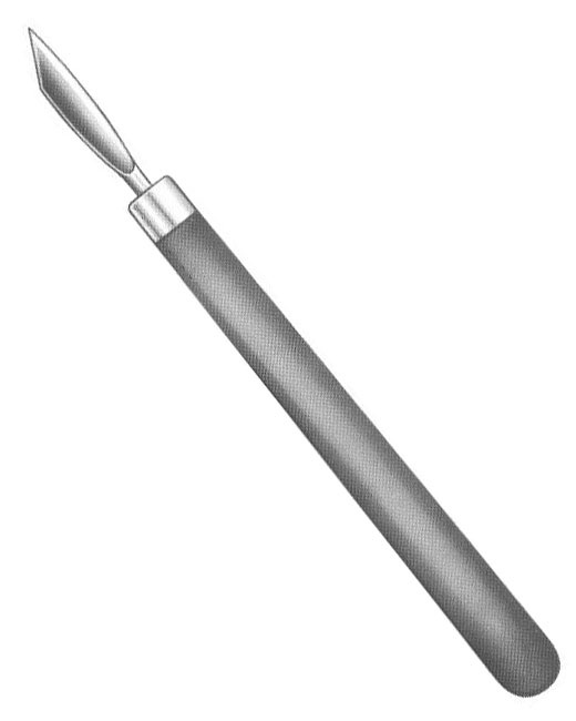 <span>Antkoviak</span>
