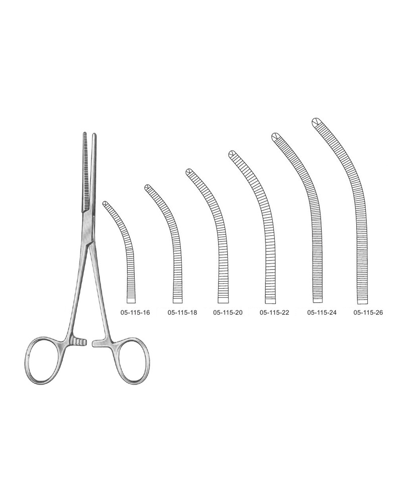 <span>Rochester-Ochsner</span>