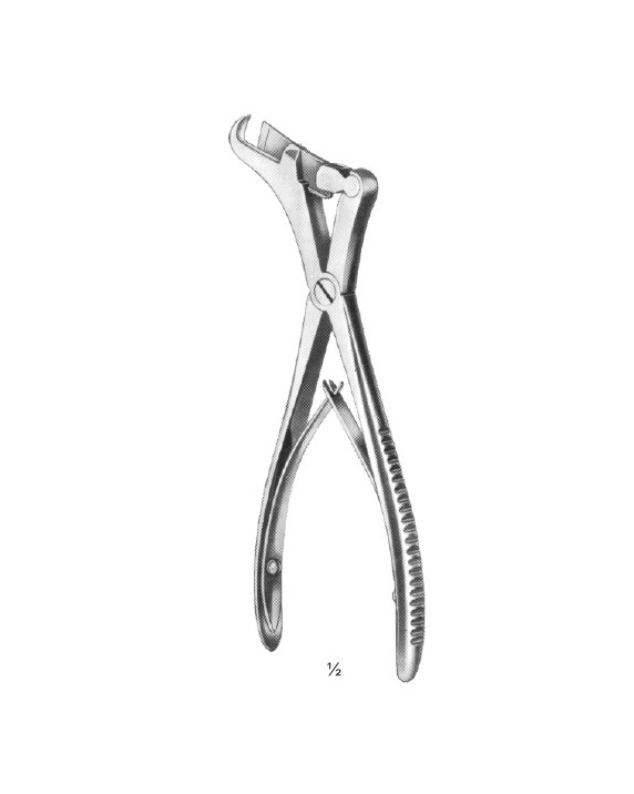 <span>Bone Punch</span>