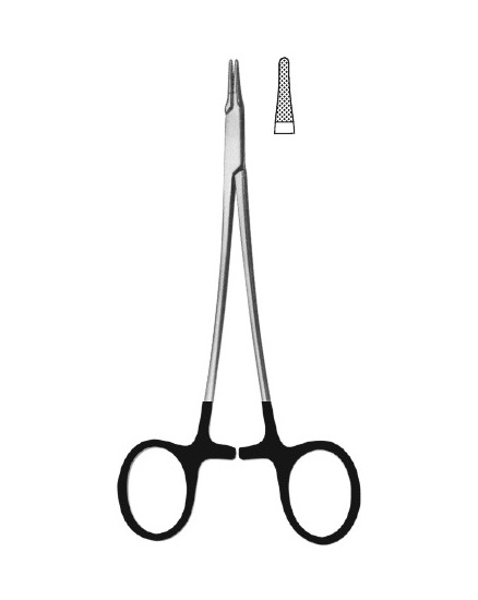 <span>Lemmon</span>