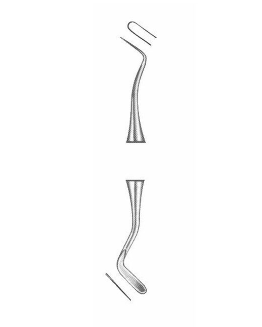 <span>Woodson</span>