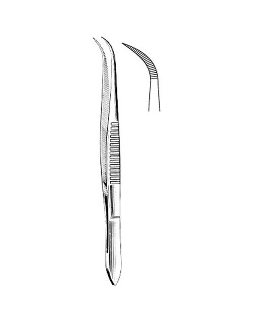 <span>Micro Forceps</span>