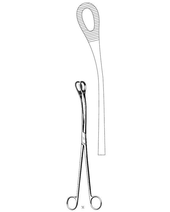 <span>Kelly</span>