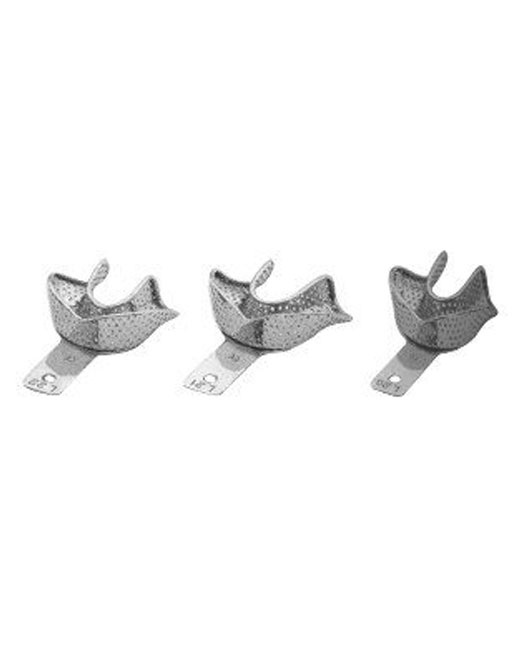 <span>Impression Trays </span>