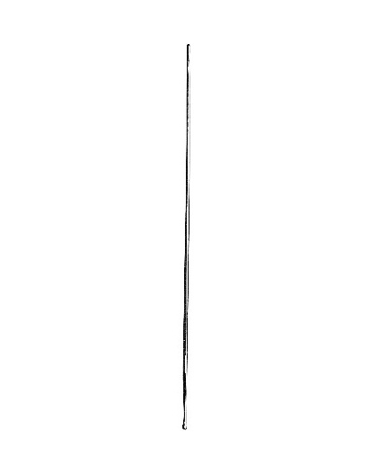<span>Probes</span>