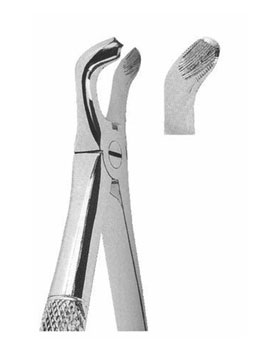 <span>Lower Third Molars</span>