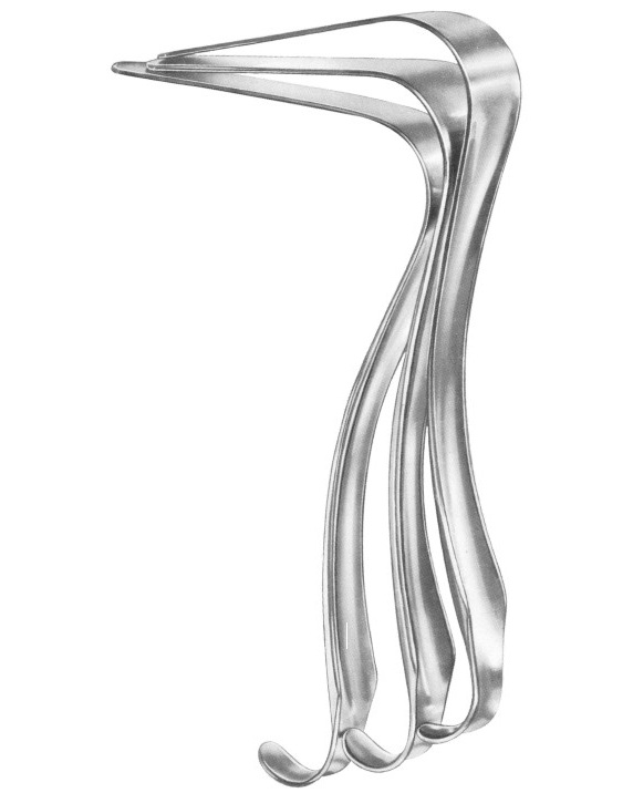 <span>Kirsteller</span>