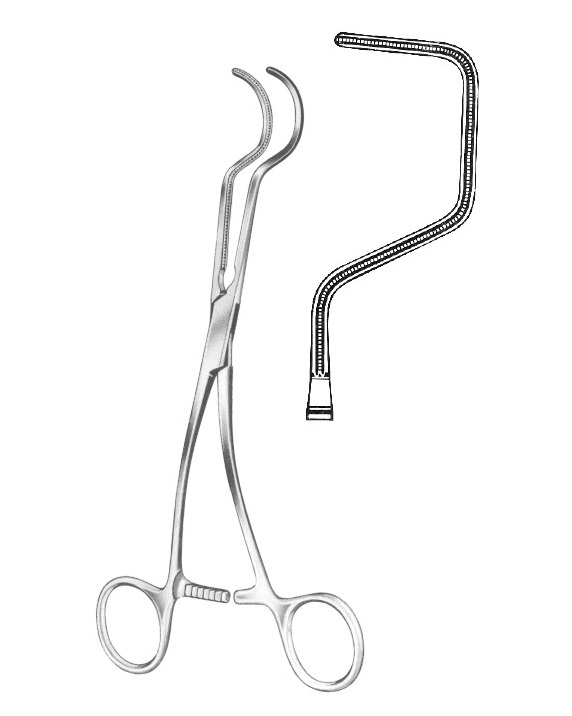 <span>Dale</span>