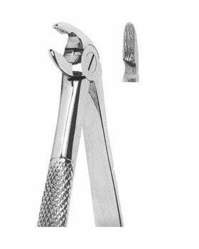 <span>Upper Molars Left </span>