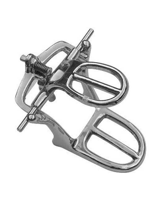 <span>Articulators </span>