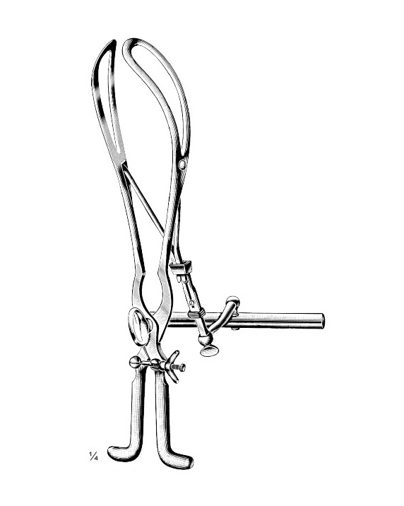 <span>Tarnier</span>