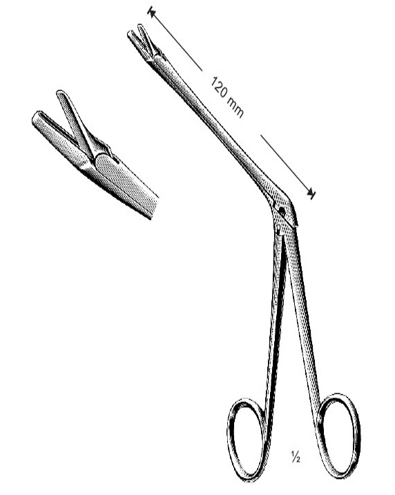 <span>Struycken</span>